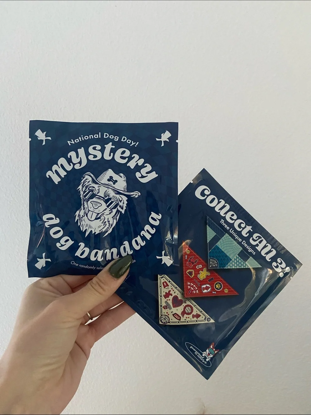 Dutch Bros Mystery Dog Bandanas x 2 National Dog Day 2026 pet accessories OSFM